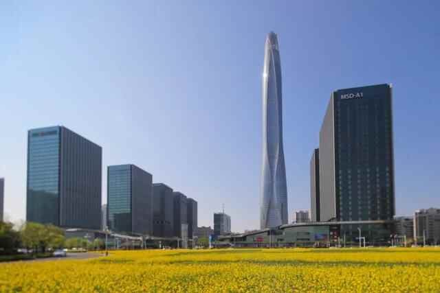 经济社会高质量发展成果亮眼，新时代美丽“滨城”引发媒体密集聚焦