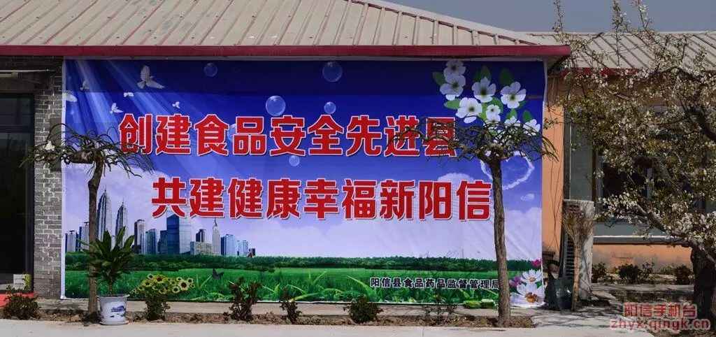 阳信县第二届美食大赛结果在这里！