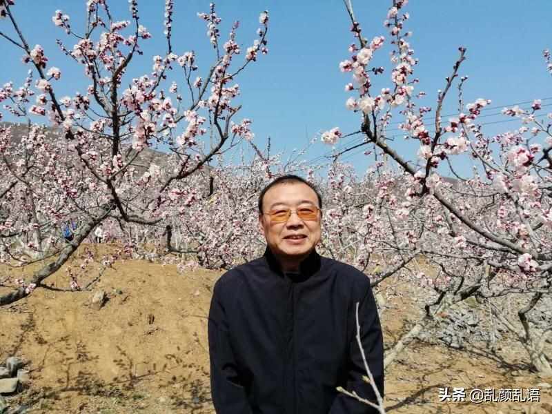 「舌尖上的邹平」老邹平的麻花子油条
