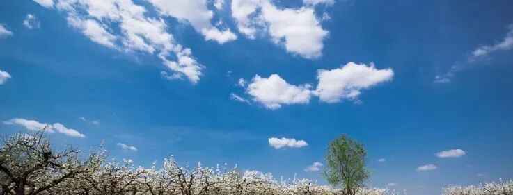 重磅！阳信正式向世界发起邀请！This is YangXin