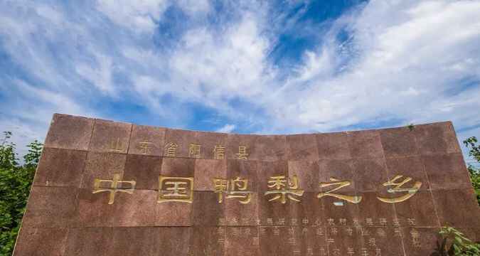 重磅！阳信正式向世界发起邀请！This is YangXin
