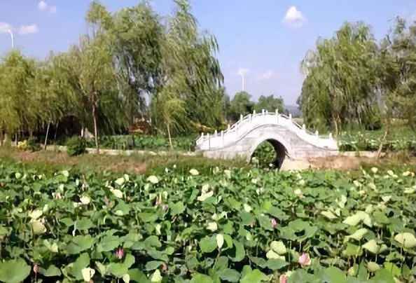 重磅！阳信正式向世界发起邀请！This is YangXin