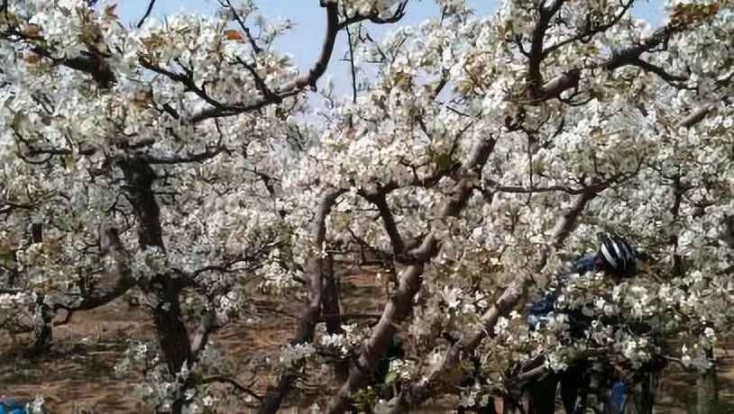 重磅！阳信正式向世界发起邀请！This is YangXin