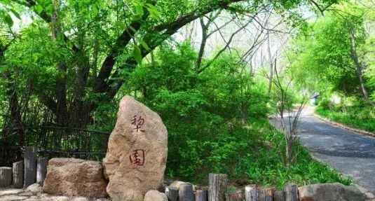 重磅！阳信正式向世界发起邀请！This is YangXin