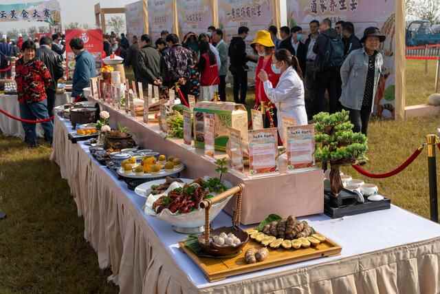 文化惠民 美食飘香 常州金坛文旅融合好戏连台