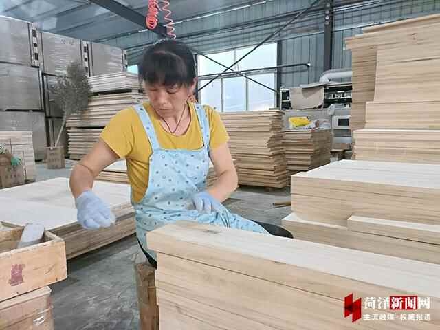 东明县大屯镇彭庄村：板材加带动一方经济