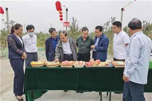省科协领导到东明县考察调研