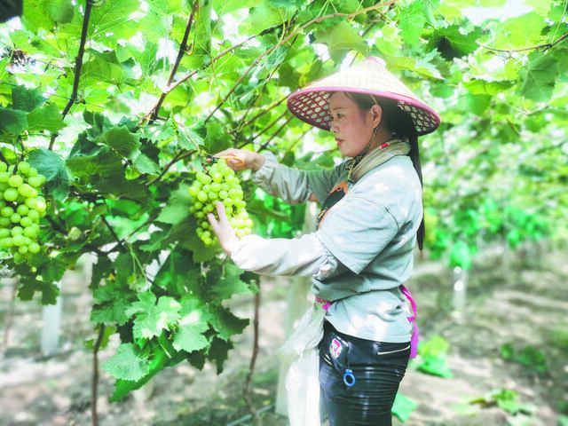 定陶区：产业转型升级 民生持续改善