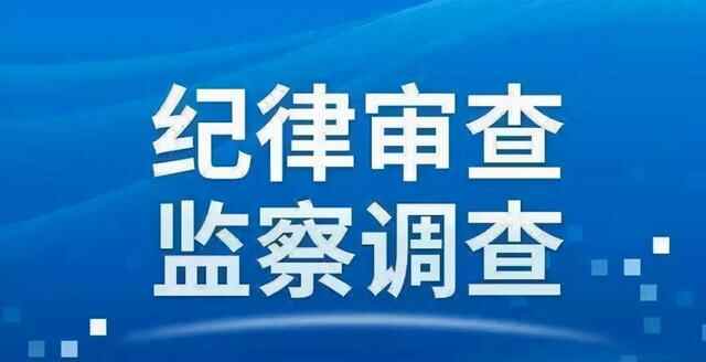 单县公安局四级**长陈冰接受纪律审查和监察调查
