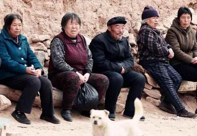 爆火的曹县，把全国网民都耍了