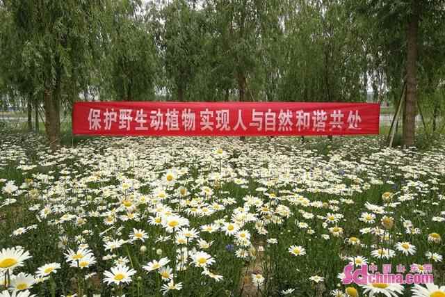 菏泽市林业局和牡丹区林业局联合开展鸟类巡护