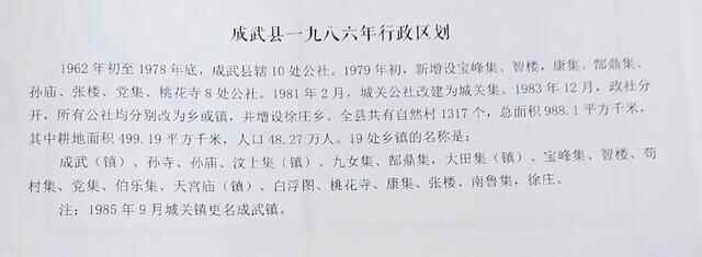 大美成武的历史沿革