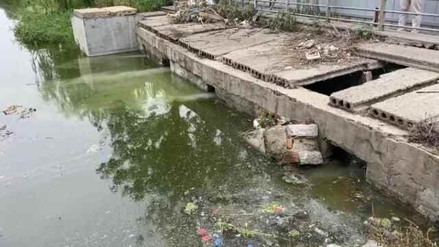 山东菏泽黑臭水体整治不力 水体返黑返臭问题突出