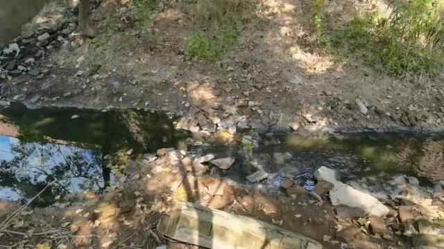 山东菏泽黑臭水体整治不力 水体返黑返臭问题突出