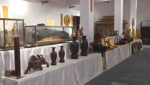 曹县推动林木产业高质量发展