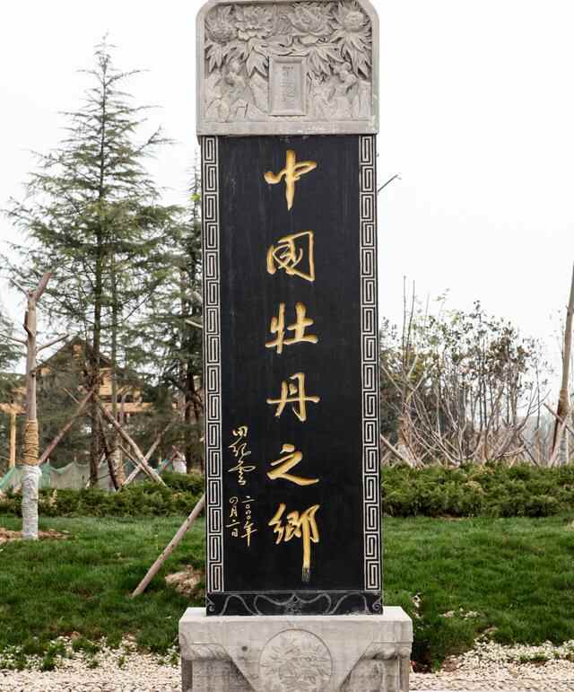 曹县，一个中国县城的崛起 | 地球知识局