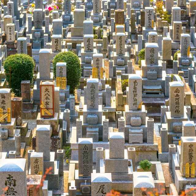 曹县，一个中国县城的崛起 | 地球知识局