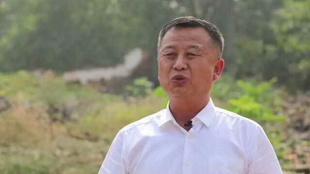东明黄河滩区居民迁建系列报道之七：旧村拆除天地宽