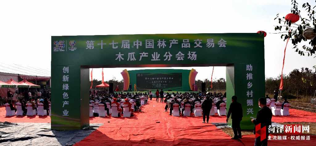 第十七届中国林交会木瓜产业分会场在定陶区开幕