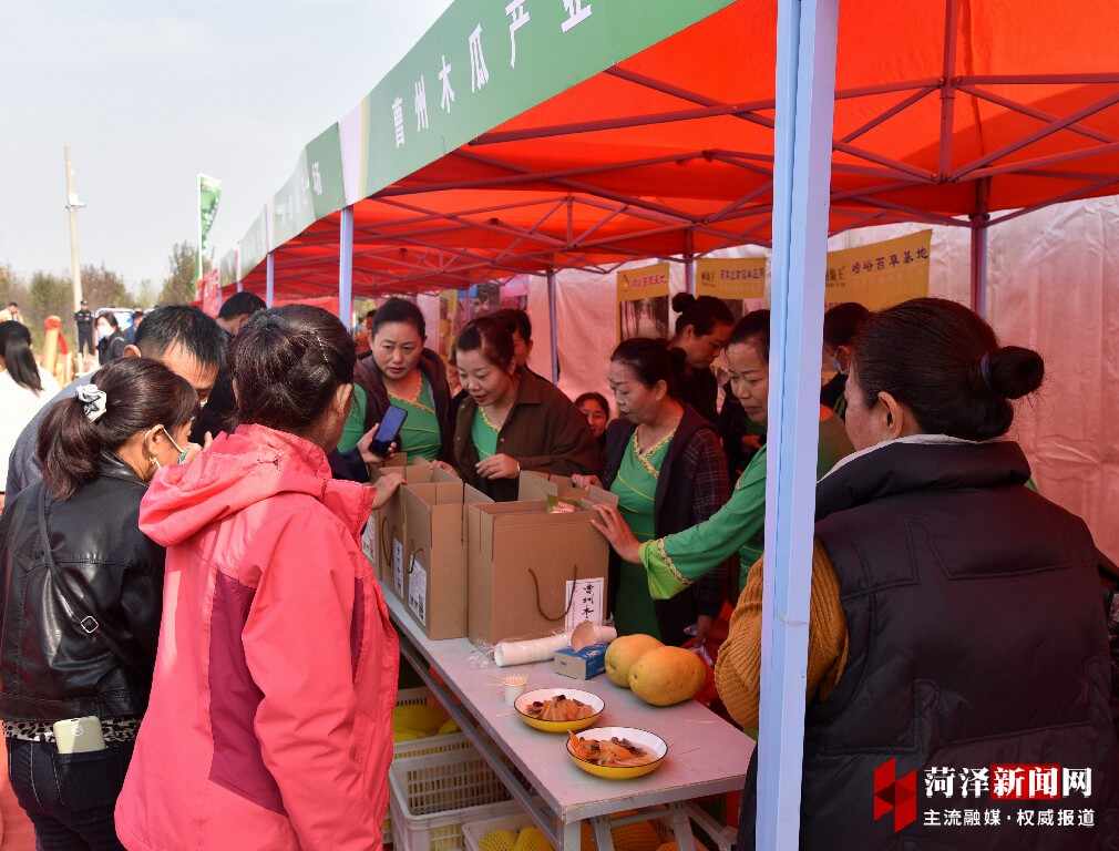 第十七届中国林交会木瓜产业分会场在定陶区开幕