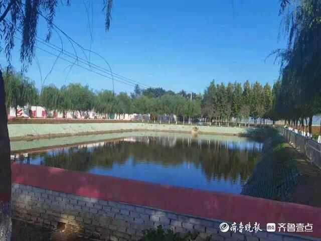 美丽纸坊，共建共享！看，农村人居环境整治的徐庄经验
