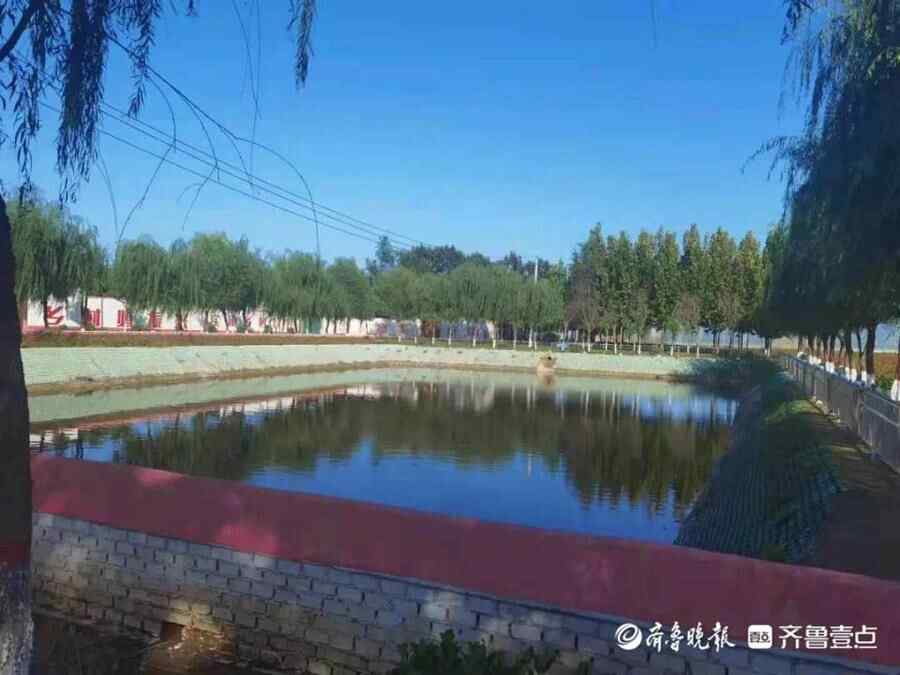 美丽纸坊，共建共享！看，农村人居环境整治的徐庄经验