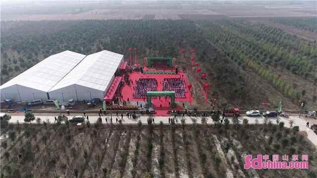 第十七届中国林产品交易会定陶木瓜产业分会场隆重开幕