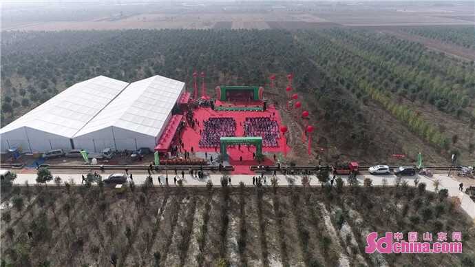 第十七届中国林产品交易会定陶木瓜产业分会场隆重开幕