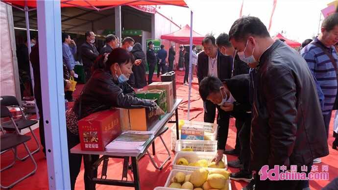 第十七届中国林产品交易会定陶木瓜产业分会场隆重开幕