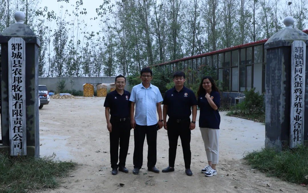 龙昌创富故事丨舵稳当奋楫，风劲好扬帆——走进郓城农邦牧业