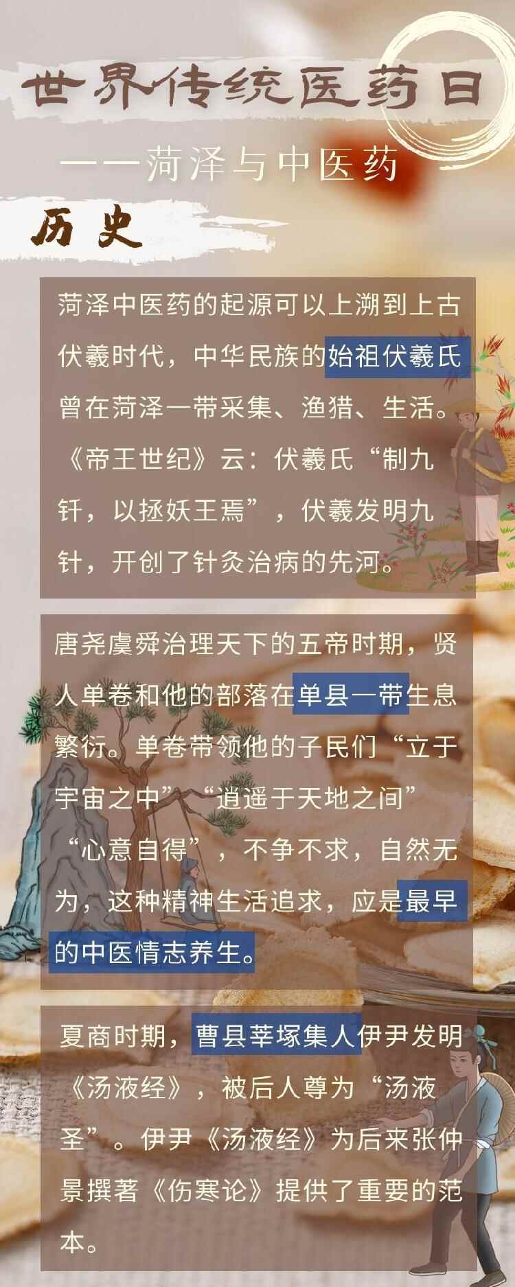 世界传统医药日 | 细数菏泽与中医药的缘分
