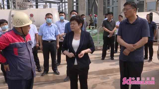 菏泽巨野县委书记冯艳丽：积极主动搞好服务 齐心协力保障项目推进