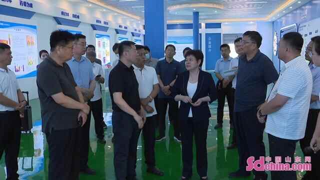 菏泽巨野县委书记冯艳丽：积极主动搞好服务 齐心协力保障项目推进