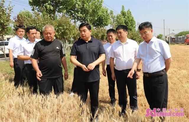 菏泽曹县：赵福龙实地调研“三夏”生产工作