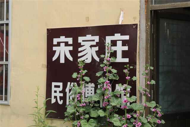 郓城的特色乡村美食都在这里！张鲁集宋家庄民俗文化节精彩纷呈！！