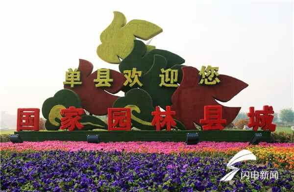 说到单县美食，你只知道羊汤？out了！