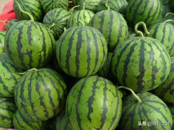 菏泽各县区特产名吃大全！