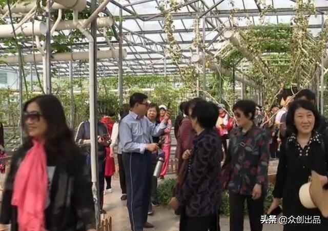 欣赏巨野美景，品味麟城美食，千人游巨野，品味汉文化