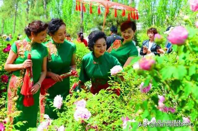 国色牡丹！美食集结！潮流打卡！魅力花都·公园城市花样玩法～嗨翻五一小长假