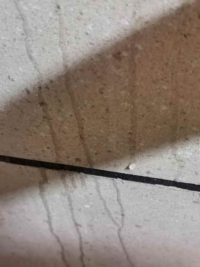 新房长“蘑菇”、多处渗水，东莞寮步珑远翠珑湾被曝渗水严重