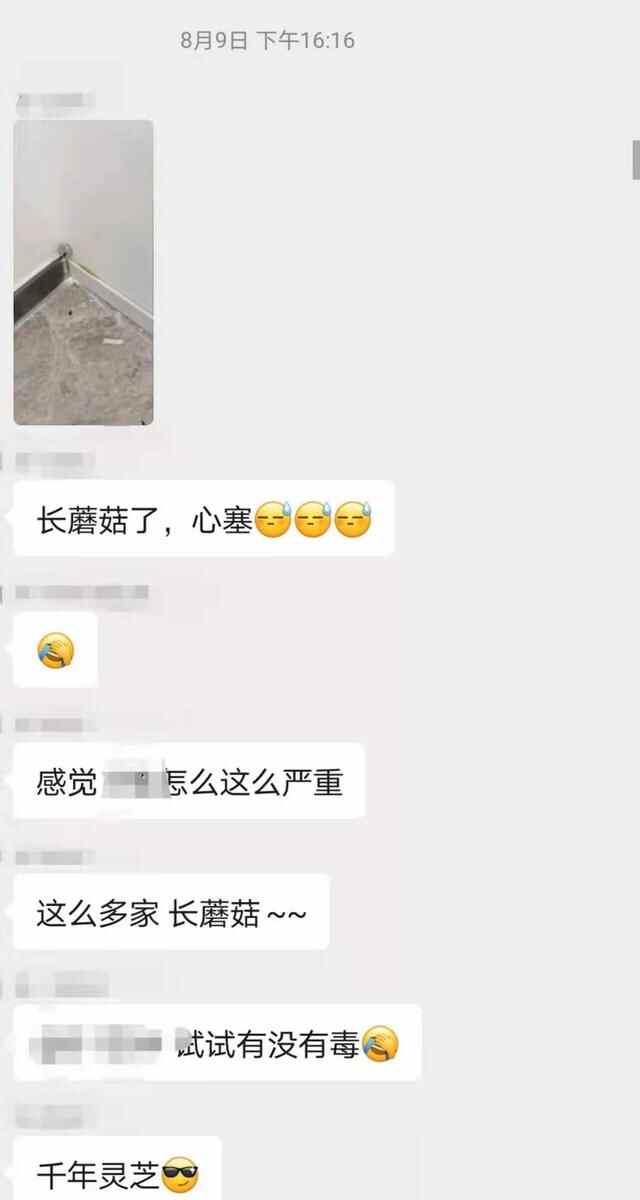 新房长“蘑菇”、多处渗水，东莞寮步珑远翠珑湾被曝渗水严重