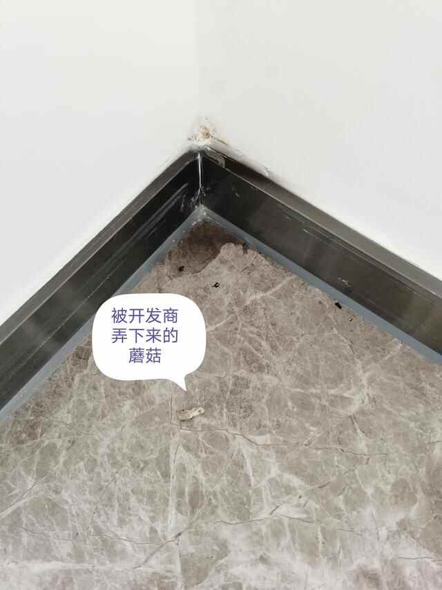 新房长“蘑菇”、多处渗水，东莞寮步珑远翠珑湾被曝渗水严重
