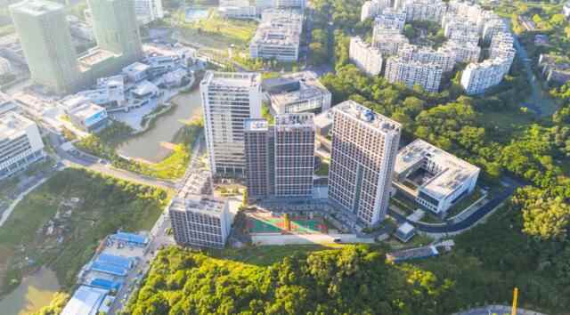 国家级“小巨人”位居全国前五！东莞制造业为何这么强？