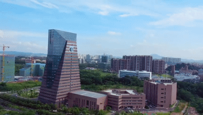 国家级“小巨人”位居全国前五！东莞制造业为何这么强？