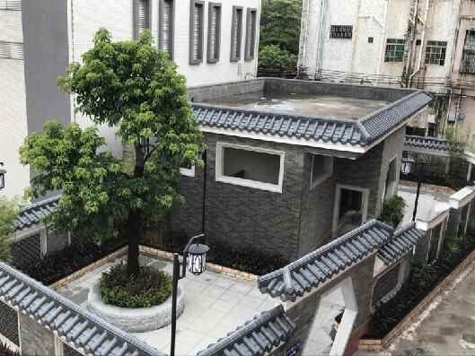 8月“洁净东莞指数测评”：东莞5个镇上了“红榜”