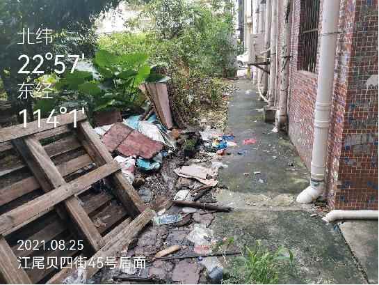 8月“洁净东莞指数测评”：东莞5个镇上了“红榜”