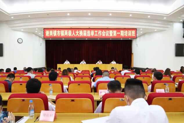 东莞市谢岗镇部署市镇两级人大换届选举工作
