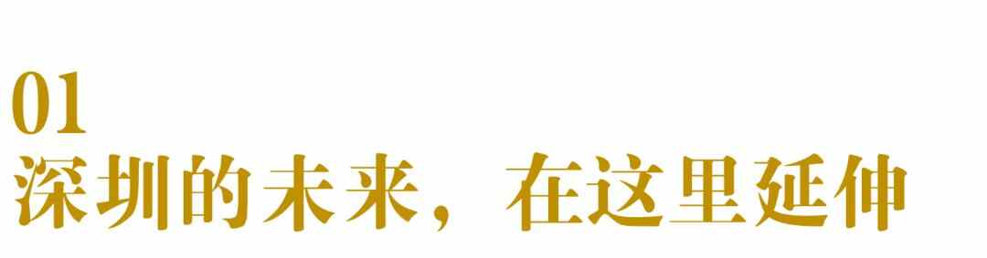 又上榜了！塘厦产业发展迅猛，机遇来了