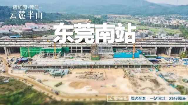又上榜了！塘厦产业发展迅猛，机遇来了