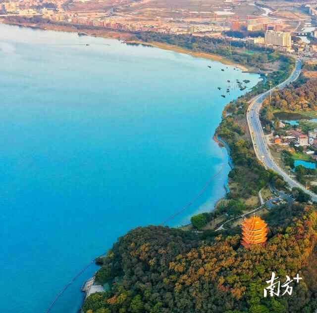 聚焦企石五年｜奋力开创了一个发展新局面